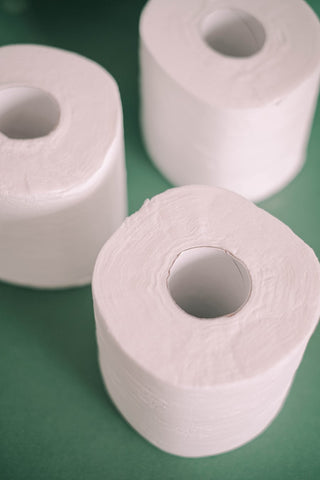 Toilet Tissue - White